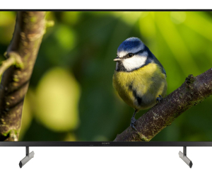 43″ (X80L) HDR 4K Google Android TV Sony Bravia