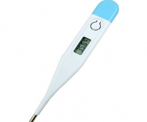 DIGITAL THERMMOMETER