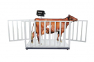 2000KG Animal Cow Weight Scale (TF-1020-2T)