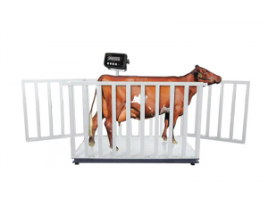 2000KG Animal Cow Weight Scale (TF10202T)