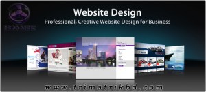 Web Design with Reasonable Price