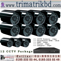 Waterproof CCTV Night Vision Package (12)