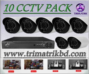 10 CCTV Camera With H.264 DVR Package 