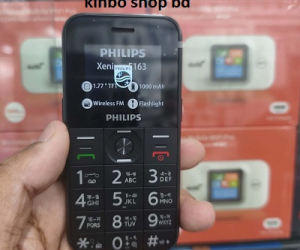 Philips Xenium E163 Button Mobile Dual Sim 