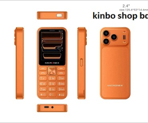 Micronex MX55 Ipro Button Mobile Dual Sim 
