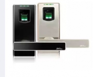 Biometric Fingerprint Keyless Door Lock  Golden