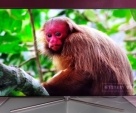 65-inch-samsung-Q7F--4K-ULTRA-QLED-TV