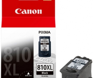 Canon Genuine PG810 XL Black Cartridge