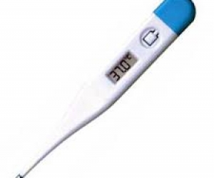 Digital Thermometer