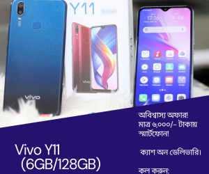 Vivo Y11 (6/128GB)