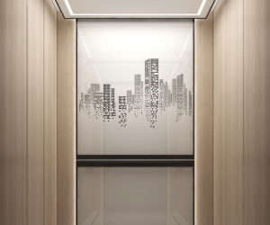 Japan Fuji Elevator Supplier in Bangladesh(Fuji Toyama Lift Co., Ltd,Japan)