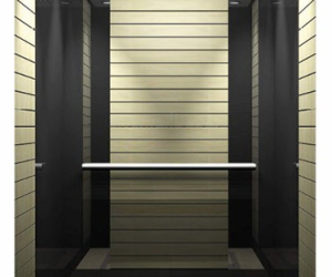 630 kg Gearless Traction Passenger Lift