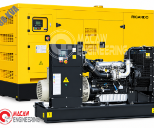 80 KVA Ricardo Diesel Generator in Bangladesh