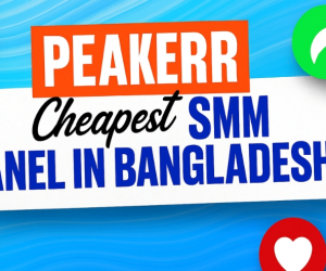 Peakerr  Cheapest SMM Panel in Bangladesh