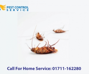 US Pest Control Service