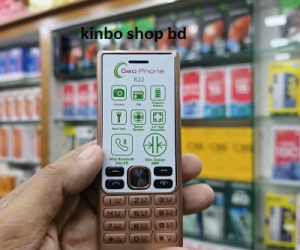Geo R22 Button Mobile Dual Sim 