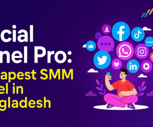 SocialPanel.Pro  Cheapest SMM Panel in Bangladesh
