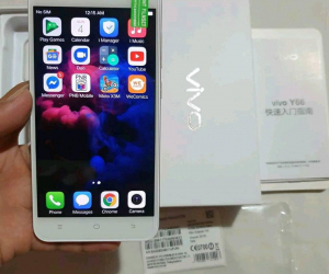 Vivo Y66 (3/32GB) New Phone