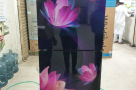 Whirlpool-236L-Magic-Pro-Glass-Door-Floret-Fridge