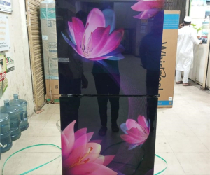 Whirlpool 236L Magic Pro Glass Door Floret Fridge