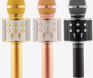 Bluetooth Karaoke Microphone