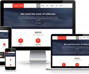 RESPONSIVE WEBSITE PSD DESIGN