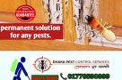 Pest-Control-Service-Dhaka-Bangladesh-