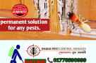 Pest Control Service Dhaka Bangladesh 