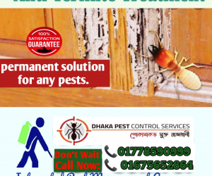 Pest Control Service Dhaka Bangladesh 