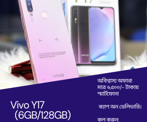 Vivo Y17 (6GB/128GB)
