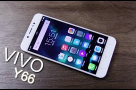 VIVO-Y66