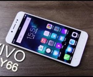 VIVO Y66