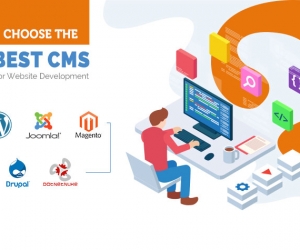 CMS DEVELOPMENT