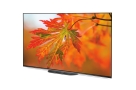 SONY-55-inch-A9G-VOICE-CONTROL-OLED-4K-ANDROID--TV