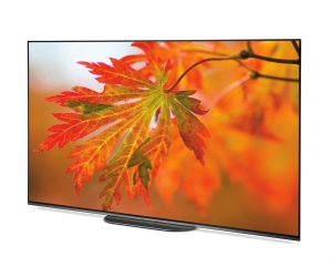 SONY 55 inch A9G VOICE CONTROL OLED 4K ANDROID  TV
