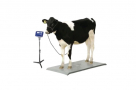 2000KG Animal Cow Weight Scale (TF-1020-2T-M)
