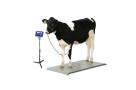 2000KG-Animal-Cow-Weight-Scale-TF-1020-2T-M