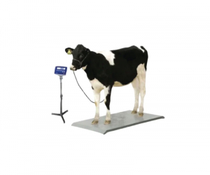 2000KG Animal Cow Weight Scale (TF10202TM)