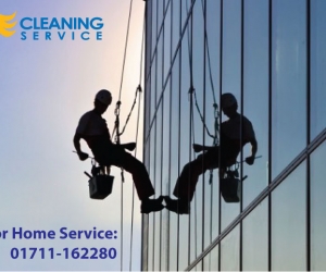 House cleaning services