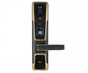 ZKTeco ZM100 Fingerprint and Face Recognition Smart Lock