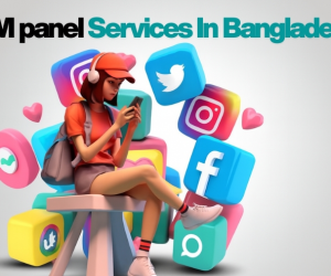 GetmyFollow  SMM panel Services In Bangladesh