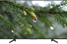 SONY-BRAVIA-49-inch-X8000G-4K-ANDROID-VOICE-REMOTE-TV