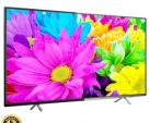 THL 24 INCH (Fiber/Black)DK4 BASIC LED HD TV