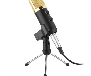 BM100FX Condenser Microphone