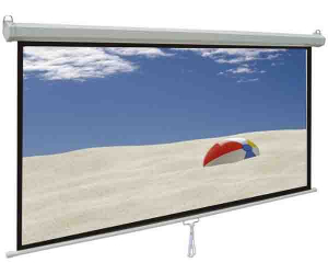 Apollo 96 x 96 Inch Wall Mount Projector Screen