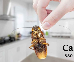 SM Pest Control Services CTG