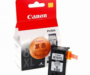 Canon Genuine PG810XL Black Ink Single Cartridge