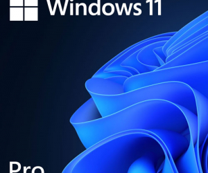 Microsoft Windows 11 Professional 64Bit DVDOEM