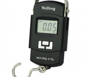 Digital Hanging Scale