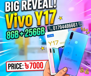 Vivo Y17 (8/256GB) | Premium Style, Affordable Price